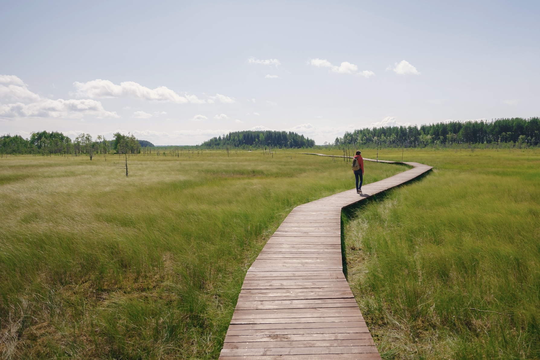 A regenerative travel concept outside St. Petersburg, Russia. 