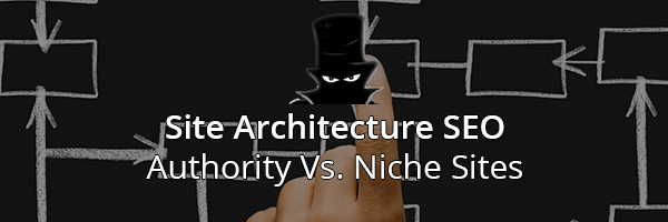Site Architecture SEO: Authority vs Niche Websites