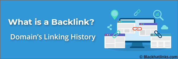 What is a Backlink: Referring Domain Linking History